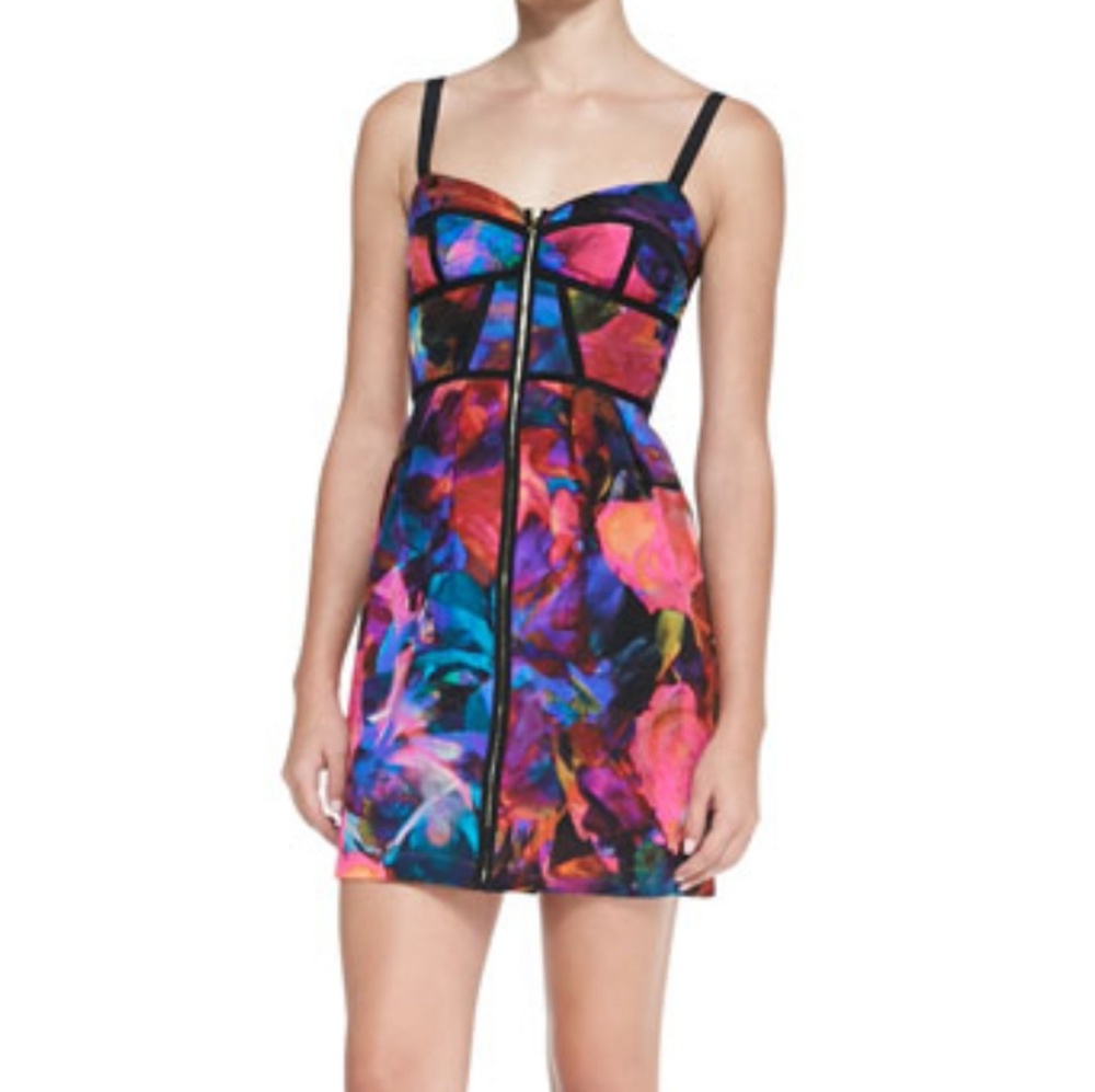 Amanda Uprichard Bouquet corset dress -NWT